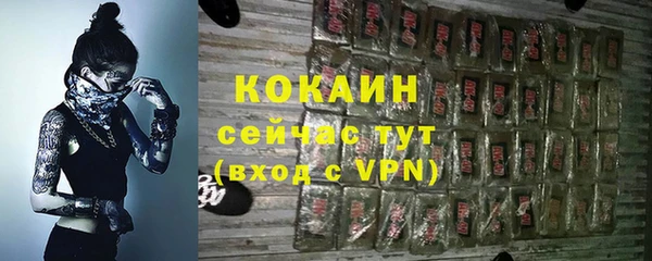 PSILOCYBIN Абаза