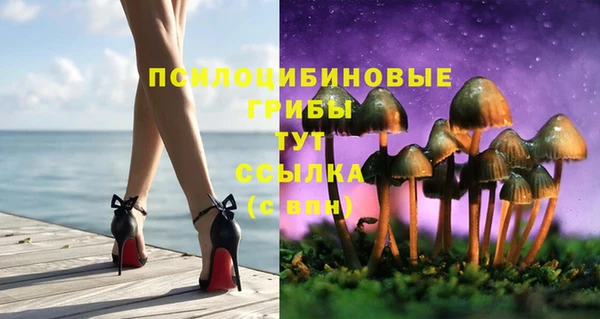 PSILOCYBIN Абаза