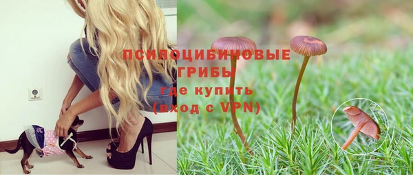 PSILOCYBIN Абаза