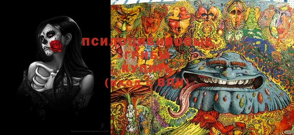 PSILOCYBIN Абаза