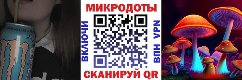 Псилоцибиновые грибы Psilocybine cubensis  что такое наркотик  Алейск 
