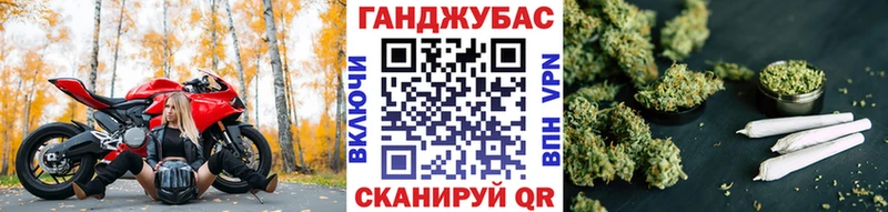 МАРИХУАНА план  наркота  mega онион  Алейск 